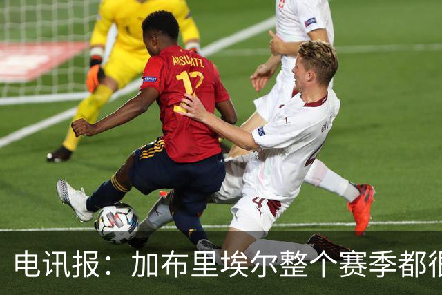 电讯报：加布里埃尔整个赛季都很强大，让他承受如此命运实在残酷