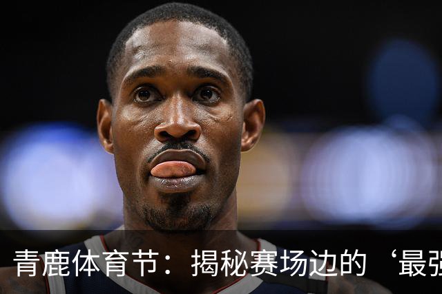 青鹿体育节：揭秘赛场边的‘最强大脑’——教练们的智谋与坚守